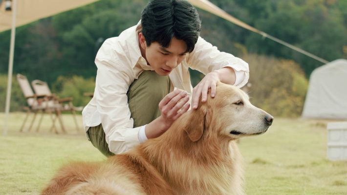 海正動(dòng)保宣傳片